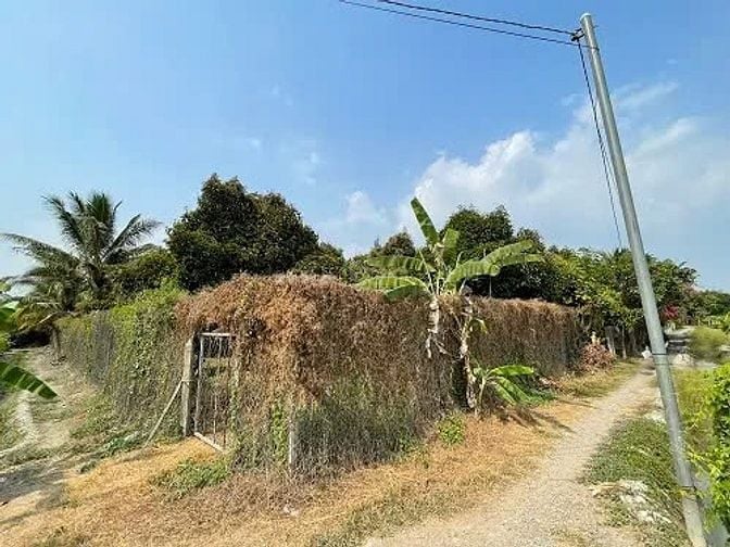 Công ty Đấu giá hợp danh Lam Sơn Sài Gòn THÔNG BÁO ĐẤU GIÁ TÀI SẢN