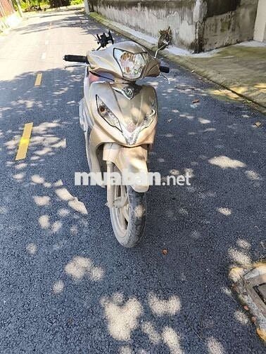 Shark 170 2 đĩa bstp
