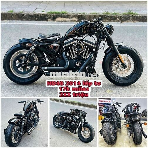 Harley Davidson motorcycle custom