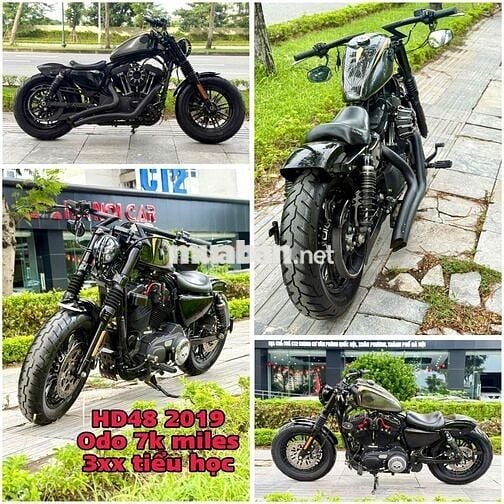 Harley Davidson motorcycle custom