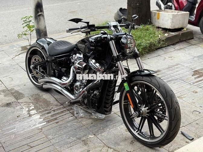 Harley Davidson motorcycle custom