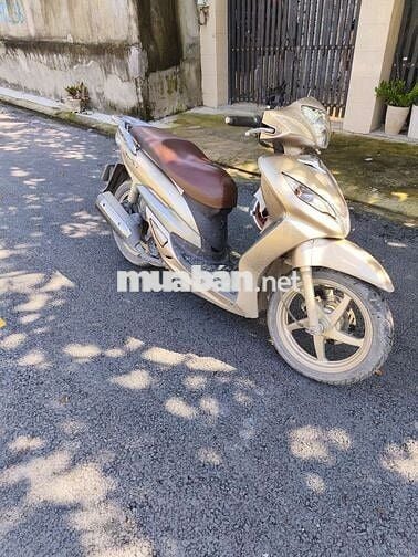 Shark 170 2 đĩa bstp