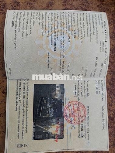 Cần Bán xe Ford Transit 2019  - 100 000km - 435tr