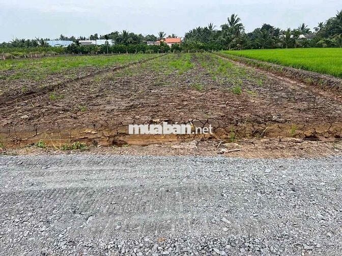 1000m Đất Vườn Cho Lên Full Thổ,View Kênh