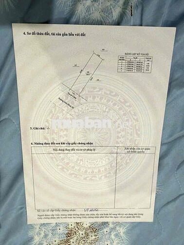 Bán cặp đất đẹp đường Hoà Minh 30, Liên Chiểu, Đà Nẵng