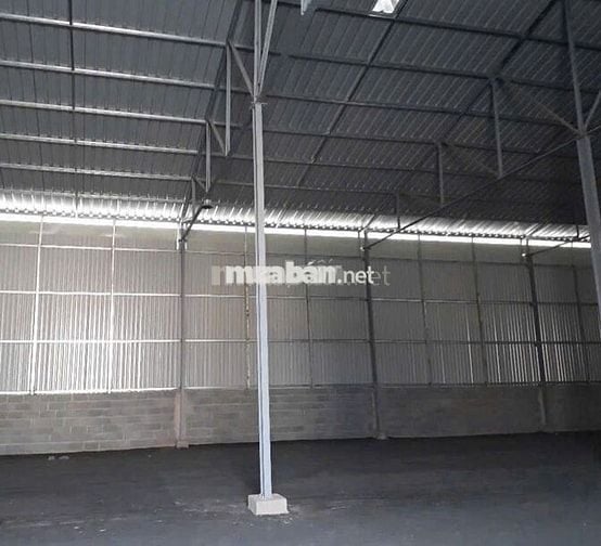 Kho đẹp ở Đường Gò Ô Môi cần cho thuê diện tích 200m2 trần thoáng