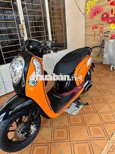 Bán scoopy nhập thái lan BS 65 D1: 28728 (