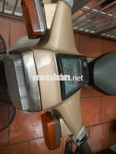 Bán cúp honda nhật 8290 có đề