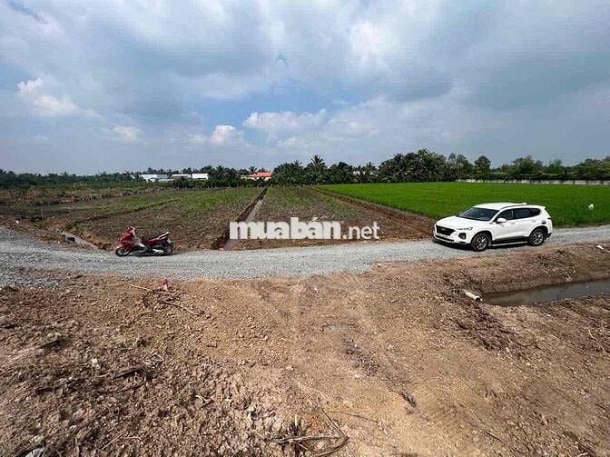 đất vườn Bình Đức Bến Lức Long An