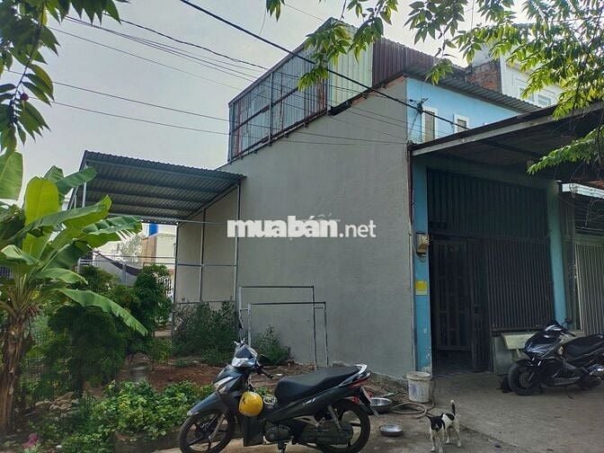 Đất nền riêng lẻ - 53m đường Lê Thị Dung, Vĩnh Lộc A
