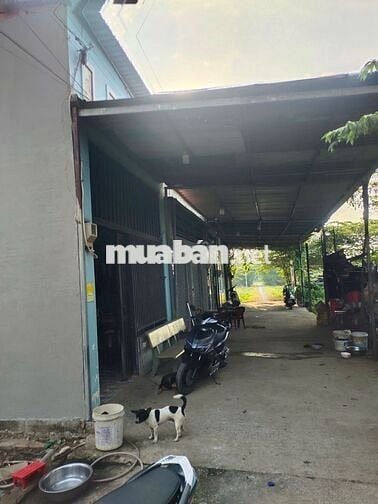Đất nền riêng lẻ - 53m đường Lê Thị Dung, Vĩnh Lộc A