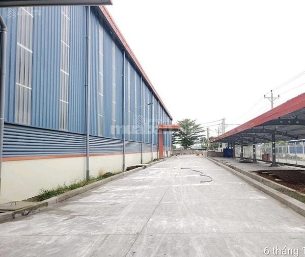 Cho thuê xưởng 30.000 m2 trong khu công nghiệp Mỹ xuân , Vũng tàu
