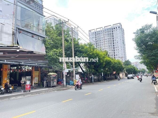 Mặt Tiền Đường Trương Công Định Phường 14, Quận Tân Bình.
