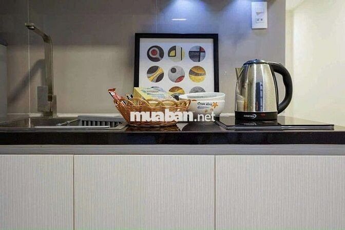 Căn hộ mini duplex giá rẻ quận 7 gần Khu chế xuất tiện qua quận 4