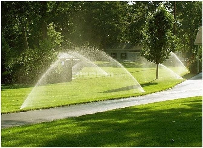 Bảo dưỡng cảnh quan trọn gói Đồng Nai 2025 – Chuyên nghiệp & tiết kiệm