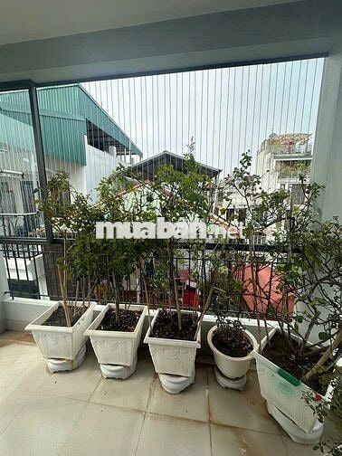 BÁN NHÀ-CẦU GIẤY-NGÕ TRƯỚC NHÀ RỘNG-XÁCH VALI VÀO Ở LUÔN