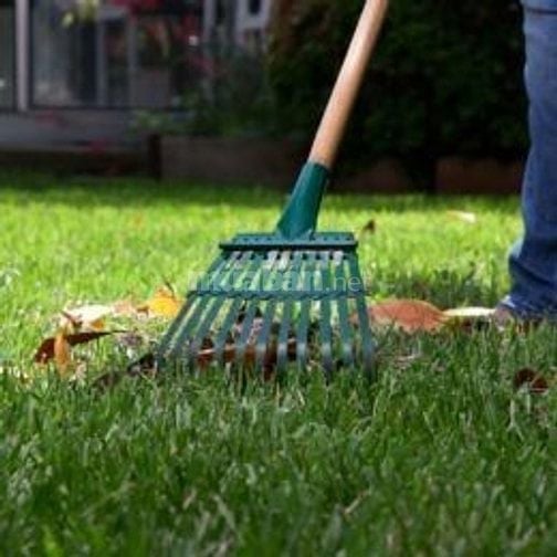 Bảo dưỡng cảnh quan trọn gói Đồng Nai 2025 – Chuyên nghiệp & tiết kiệm