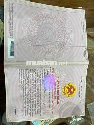 Bán CCMN Sổ Hồng Từng Căn - Chỉ 1,3xx - Tố Hữu, Đại Linh Bán CCMN Sổ Hồng Từng Căn - Chỉ 1,3xx - Tố Hữu, Đại Linh