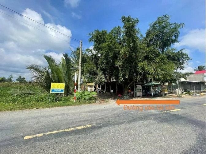 Công ty Đấu giá hợp danh Lam Sơn Sài Gòn THÔNG BÁO ĐẤU GIÁ TÀI SẢN