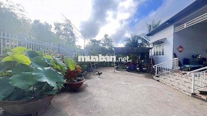 THANH LÍ BÁN RA LÔ ĐẤT 1000M2 THỔ CƯ SẴN 300M2 CÓ NHÀ, CÓ VƯỜN
