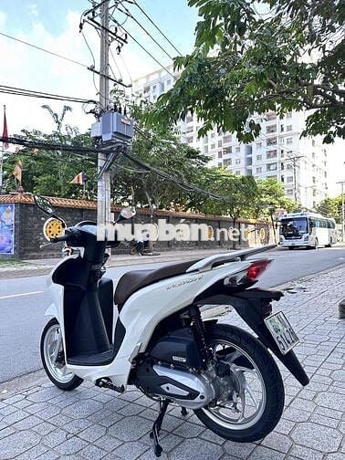 ❤️ Vision 2024 BS60 Nguyên Zin - Gop Bao Đậu