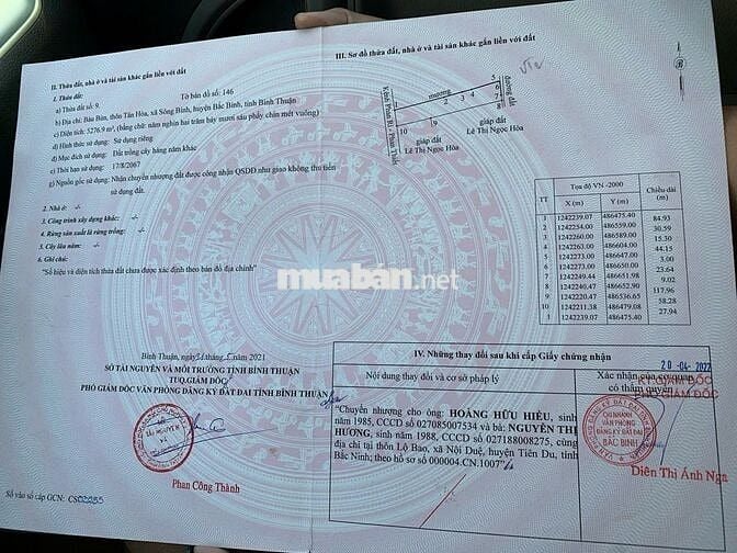 5.2 sào đất gần trường Tiểu học Sông Bình chỉ 1.25 tỷ