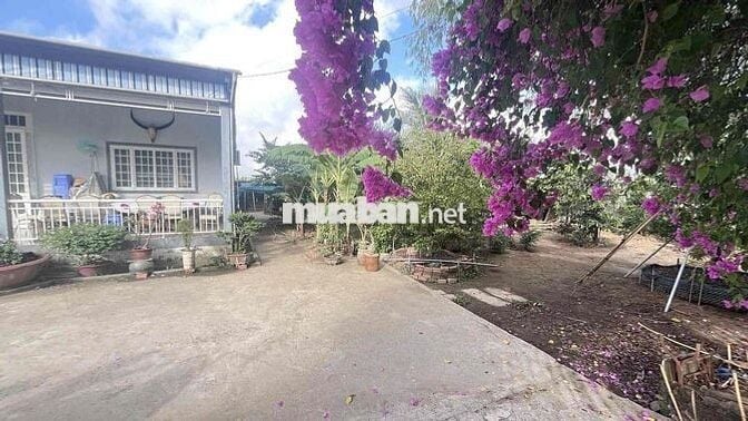 THANH LÍ BÁN RA LÔ ĐẤT 1000M2 THỔ CƯ SẴN 300M2 CÓ NHÀ, CÓ VƯỜN