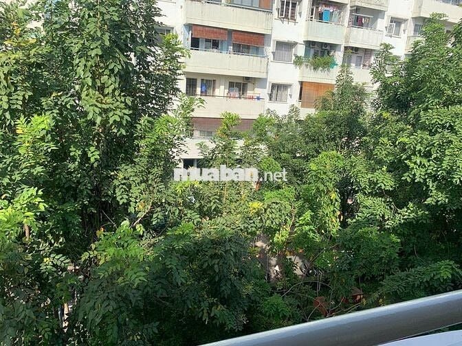 Cho thuê văn phòng Trần Nhật Duật