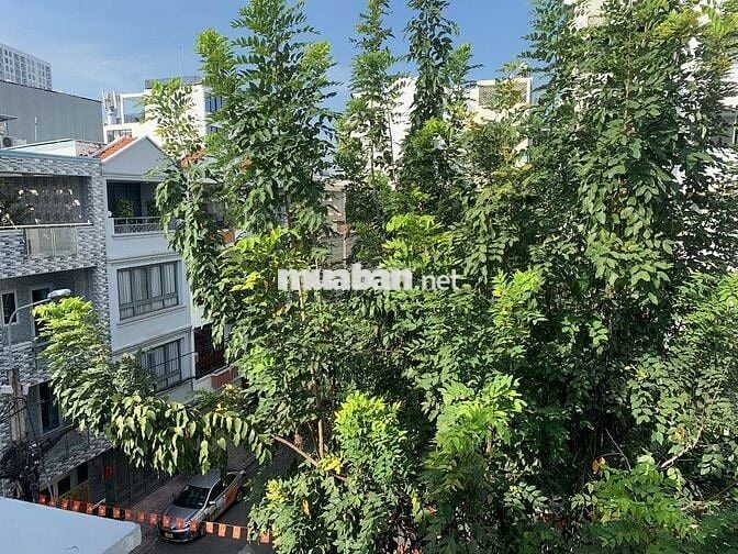 Cho thuê văn phòng Trần Nhật Duật