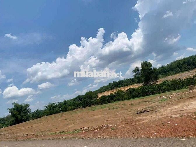 4.320m2/ 2Tỷ - Tân Lợi - Bình Phước