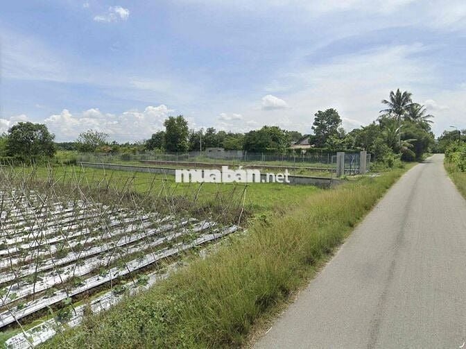 Đất 10×43, Sẵn 200m2 Thổ Cư, Cách QL22 1Km , Xã Phước Thạnh, Củ Chi