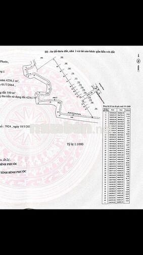 4.320m2/ 2Tỷ - Tân Lợi - Bình Phước
