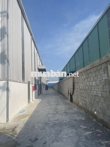 Bán kho xưởng 2.000m2 KCN Đức Hòa, Long An , PCCC tự động, giá: 30 tỷ