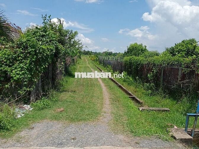Đất vườn giá tốt, xã Nhuận Đức, đường 528, Củ Chi, diện tích 804.6m2