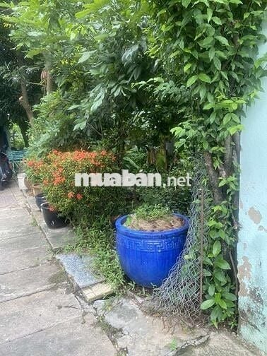 Hạ giá bán gấp lô đất 160m2, chỉ 6 tỷ, đường Nguyễn Bình, Nhà Bè.