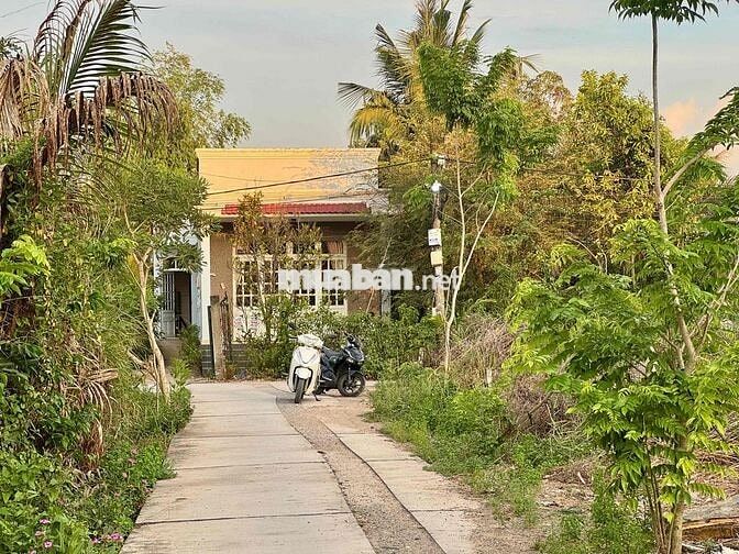 BÁN ĐẤT 2 MẶT TIỀN FULL THỔ CƯ – XÃ ĐA PHƯỚC, BÌNH CHÁNH - 138m2