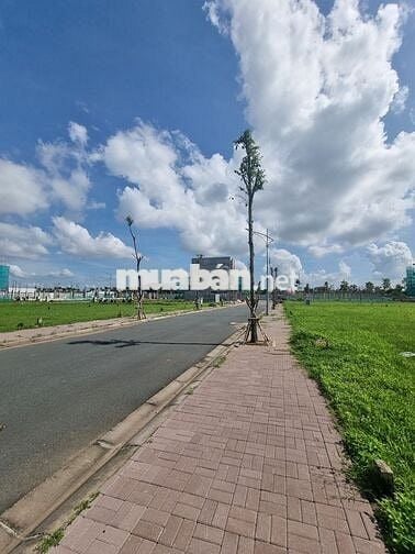 Nền gần hồ cảnh quan khu Nam Long 2