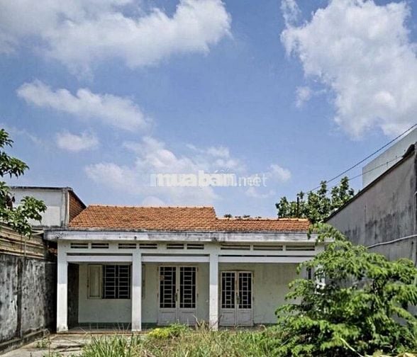 Nhà Cấp 4 Diện Tích 9.5x40.  Mặt Tiền Nhựa Kinh Doanh Đỉnh - Bán Gấp