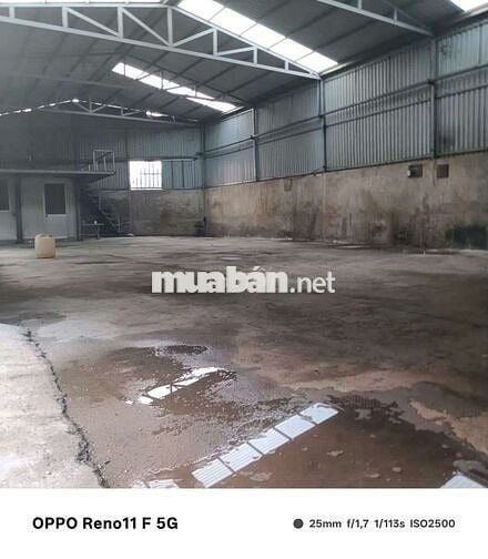 KHO THUÊ 264 m ( 12×22 ) Đẹp _ Đường 6B Ấp 6 Xã Tân Vĩnh Lộc B