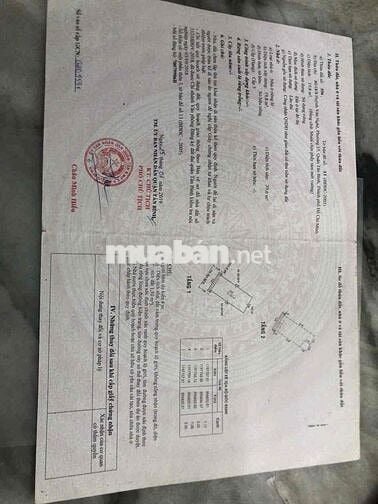 chính chủ cần bán nhà hẻm 80/18/8 huynh văn nghệ p15 tân bình