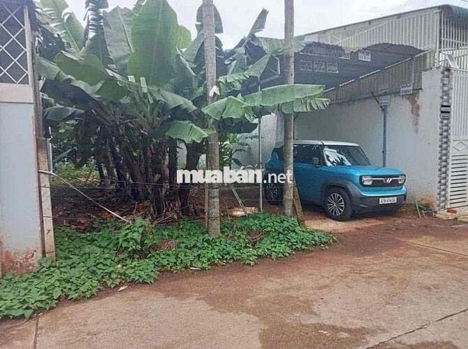 Bán đất hẻm 44 Đinh Núp, Phường Tân Lập, BMT, Đắk Lắk