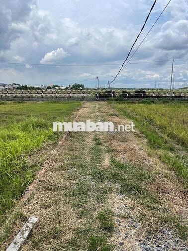 NHÀ VƯỜN 613M² – VĨNH THANH, NHƠN TRẠCH – GIÁ CHỈ 1 TỶ 600 TRIỆU
