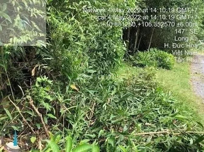 Công ty Đấu giá hợp danh Lam Sơn Sài Gòn THÔNG BÁO ĐẤU GIÁ TÀI SẢN