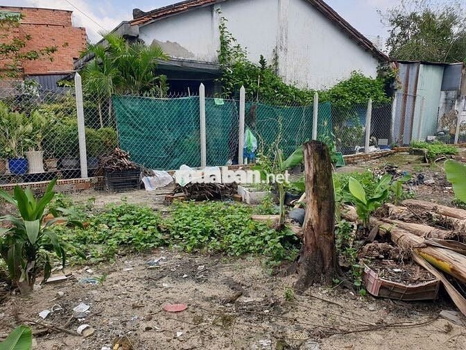 Đất thổ cư 8x20, hẻm Phan Văn Hớn, gần chợ và UB xã Bà Điểm - TP.HCM