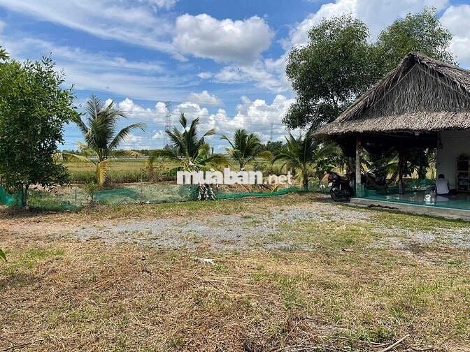 NHÀ VƯỜN 613M² – VĨNH THANH, NHƠN TRẠCH – GIÁ CHỈ 1 TỶ 600 TRIỆU