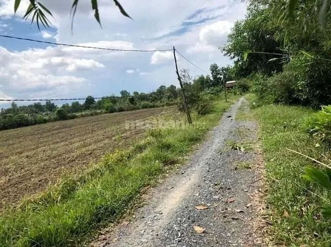 Công ty Đấu giá hợp danh Lam Sơn Sài Gòn THÔNG BÁO ĐẤU GIÁ TÀI SẢN
