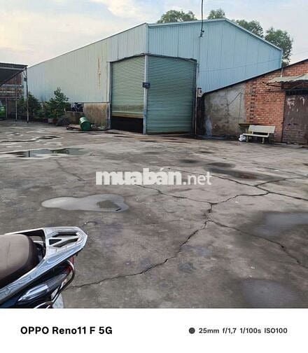 KHO THUÊ 264 m ( 12×22 ) Đẹp _ Đường 6B Ấp 6 Xã Tân Vĩnh Lộc B
