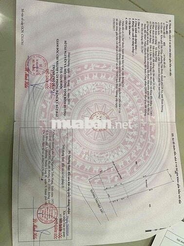 bán lô đât đường nhựa thông gần trường cấp 2 Tân Bình