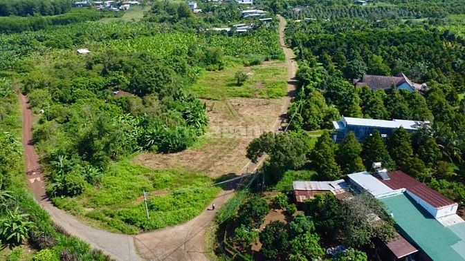 Quá rẻ, 440 triệu có ngay lô đất sổ riêng thổ cư 105m2 sát bên KCN Xuâ
