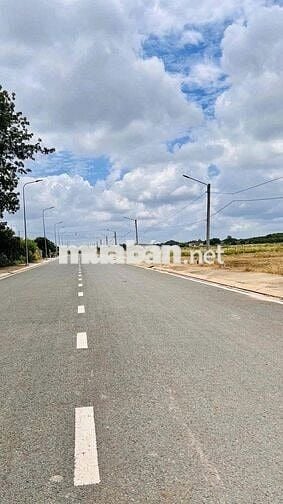 Cần tiền bán gấp đất nền BÌNH PHƯỚC giá rẻ